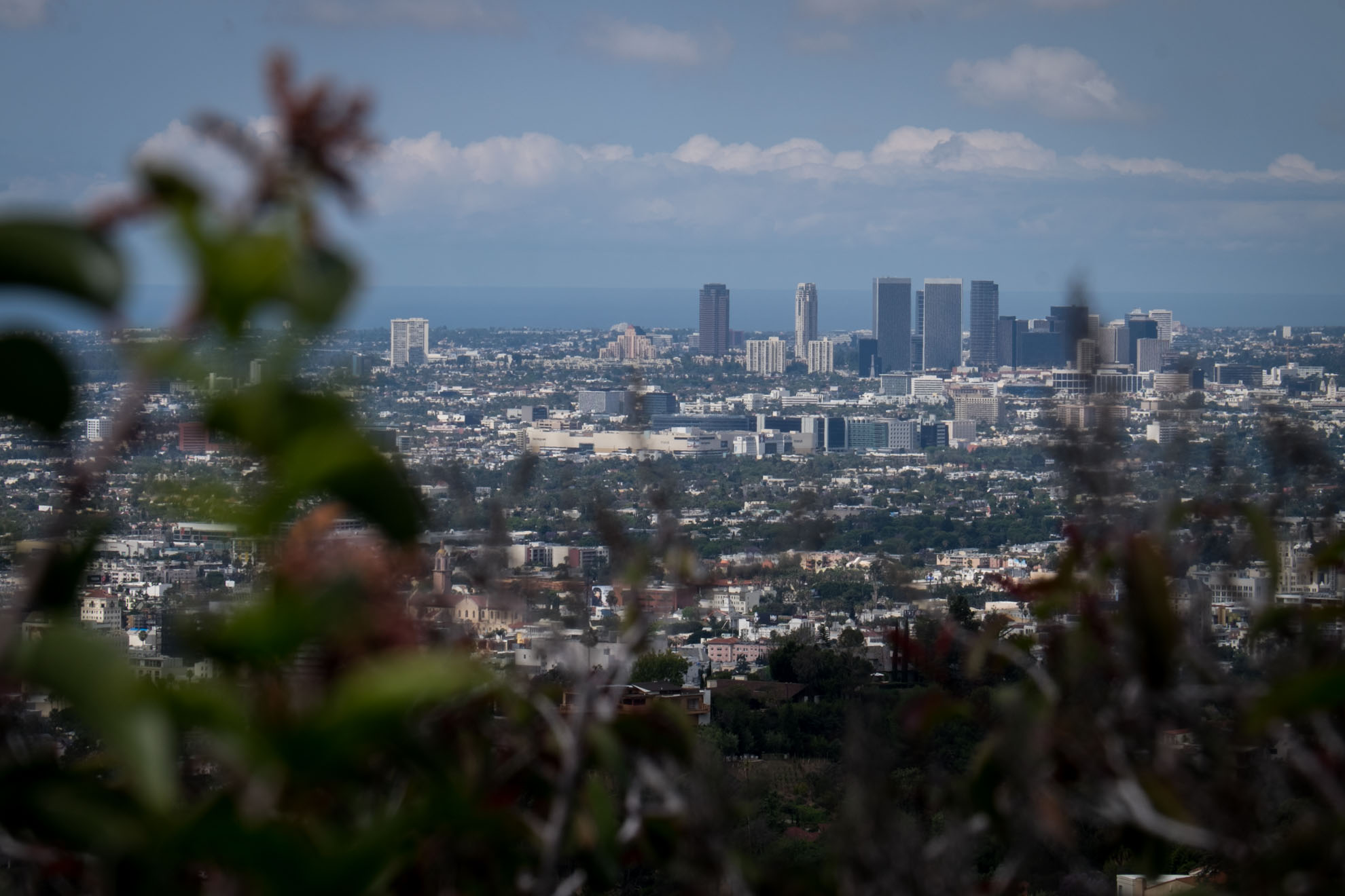 Je Serais Connu De Paname A Los Angeles