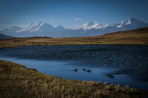 2015-07-08-Huaraz-Lagune-Wilcacoha-01