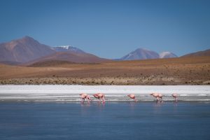 2015-08-07-Salar-Uyuni-08